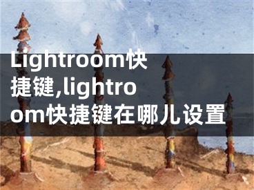 Lightroom快捷键,lightroom快捷键在哪儿设置