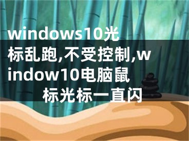 windows10光标乱跑,不受控制,window10电脑鼠标光标一直闪