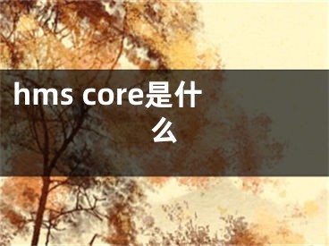 hms core是什么