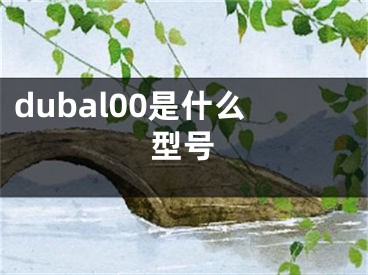 dubal00是什么型号