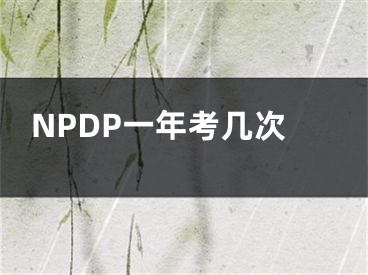 NPDP一年考几次