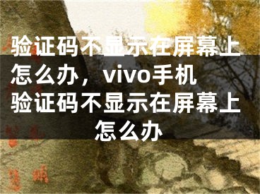 验证码不显示在屏幕上怎么办，vivo手机验证码不显示在屏幕上怎么办