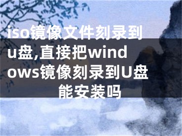 iso镜像文件刻录到u盘,直接把windows镜像刻录到U盘能安装吗