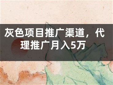 灰色项目推广渠道，代理推广月入5万