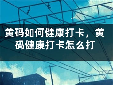 黄码如何健康打卡，黄码健康打卡怎么打