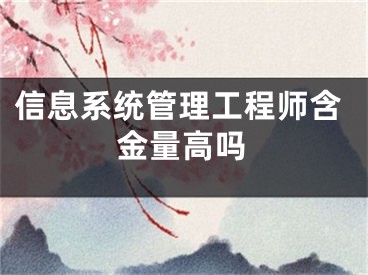 信息系统管理工程师含金量高吗