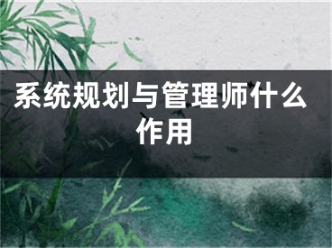 系统规划与管理师什么作用