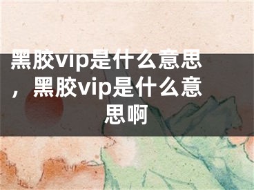 黑胶vip是什么意思，黑胶vip是什么意思啊