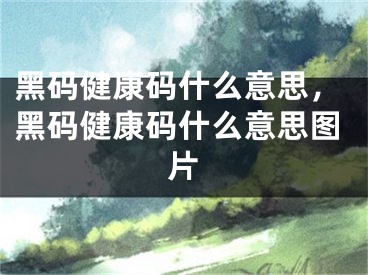 黑码健康码什么意思，黑码健康码什么意思图片
