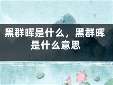 黑群晖是什么，黑群晖是什么意思