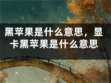 黑苹果是什么意思，显卡黑苹果是什么意思