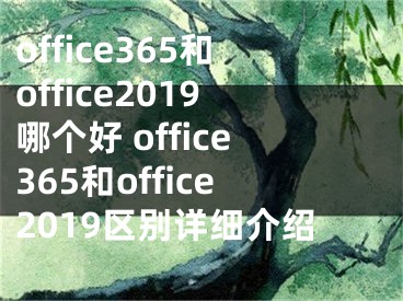 office365和office2019哪个好 office365和office2019区别详细介绍