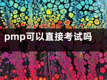 pmp可以直接考试吗