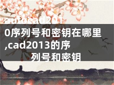 autocad2010序列号和密钥在哪里,cad2013的序列号和密钥