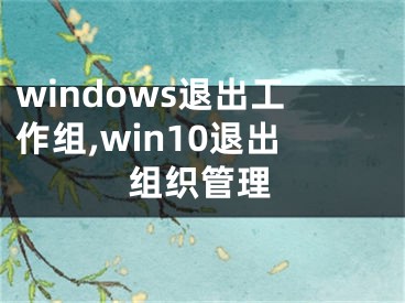 windows退出工作组,win10退出组织管理