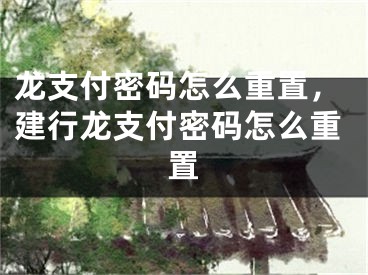 龙支付密码怎么重置，建行龙支付密码怎么重置