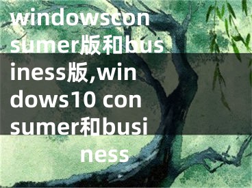 windowsconsumer版和business版,windows10 consumer和business