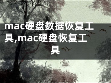 mac硬盘数据恢复工具,mac硬盘恢复工具