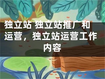 独立站 独立站推广和运营，独立站运营工作内容