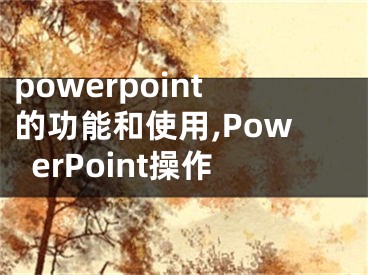 powerpoint的功能和使用,PowerPoint操作