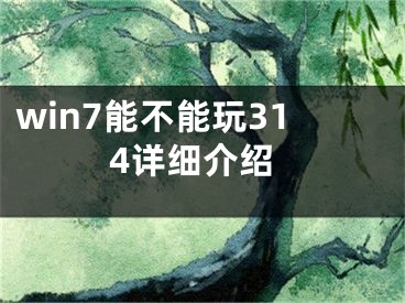 win7能不能玩314详细介绍