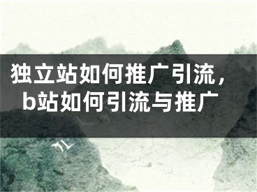 独立站如何推广引流，b站如何引流与推广