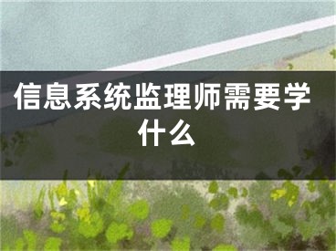 信息系统监理师需要学什么