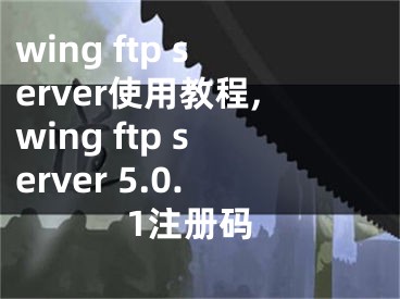 wing ftp server使用教程,wing ftp server 5.0.1注册码