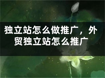 独立站怎么做推广，外贸独立站怎么推广