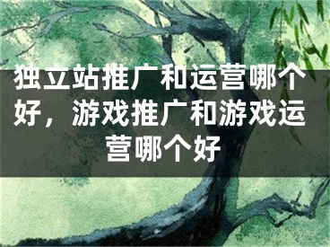 独立站推广和运营哪个好，游戏推广和游戏运营哪个好