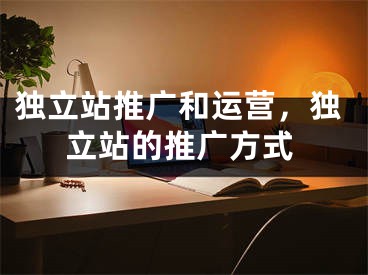 独立站推广和运营，独立站的推广方式 