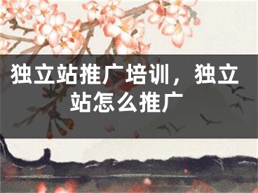 独立站推广培训，独立站怎么推广 