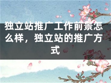 独立站推广工作前景怎么样，独立站的推广方式