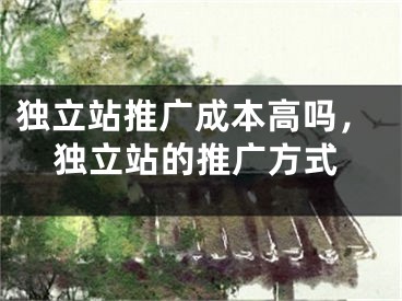 独立站推广成本高吗，独立站的推广方式