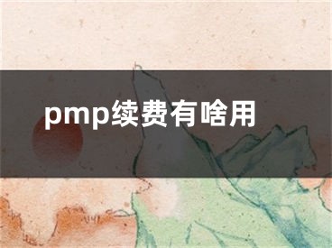 pmp续费有啥用