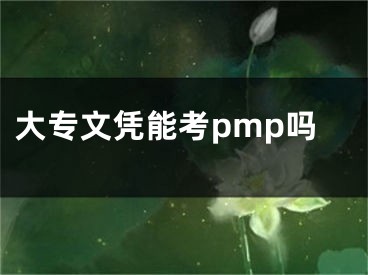 大专文凭能考pmp吗