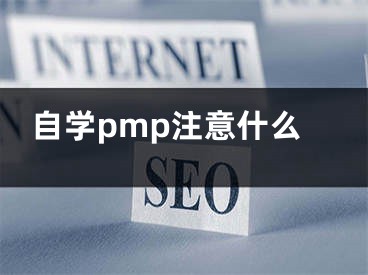 自学pmp注意什么