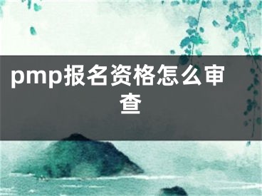 pmp报名资格怎么审查