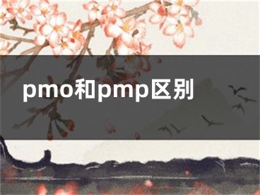 pmo和pmp区别