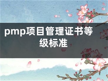 pmp项目管理证书等级标准