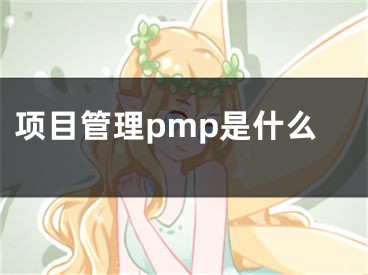 项目管理pmp是什么