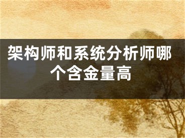 架构师和系统分析师哪个含金量高