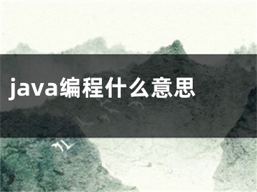 java编程什么意思