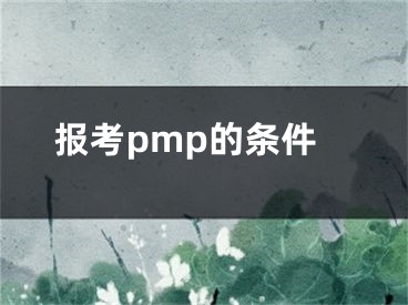 报考pmp的条件