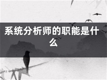 系统分析师的职能是什么