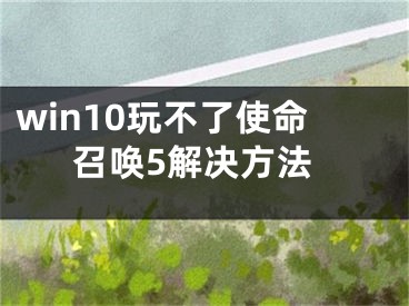 win10玩不了使命召唤5解决方法