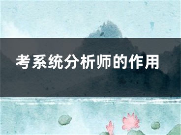 考系统分析师的作用