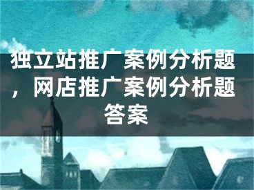 独立站推广案例分析题，网店推广案例分析题答案