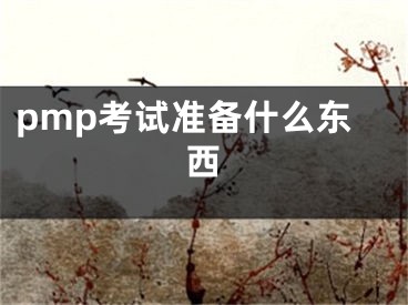 pmp考试准备什么东西