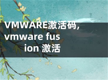 VMWARE激活码,vmware fusion 激活